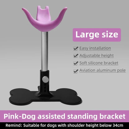 Adjustable Pet Support Stand, Groomer Dog Seat & Fixed Chair for Dog Care - Bond Well Supplies