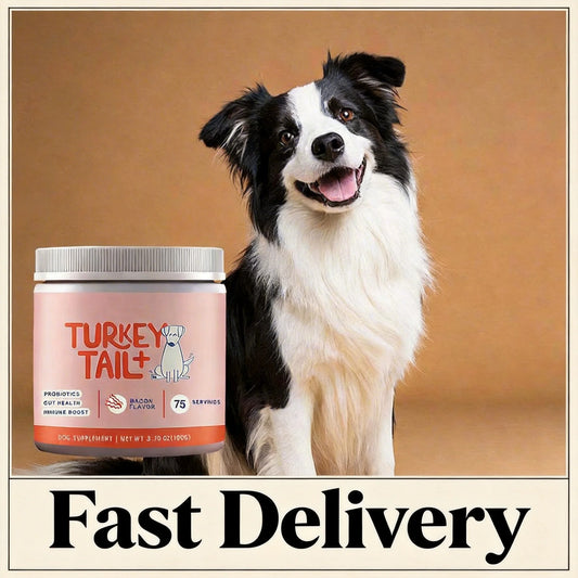Dog Probiotic Soft Granules, 100g Digestive Support Supplement for Daily Gut Wellness - Bond Well Supplies