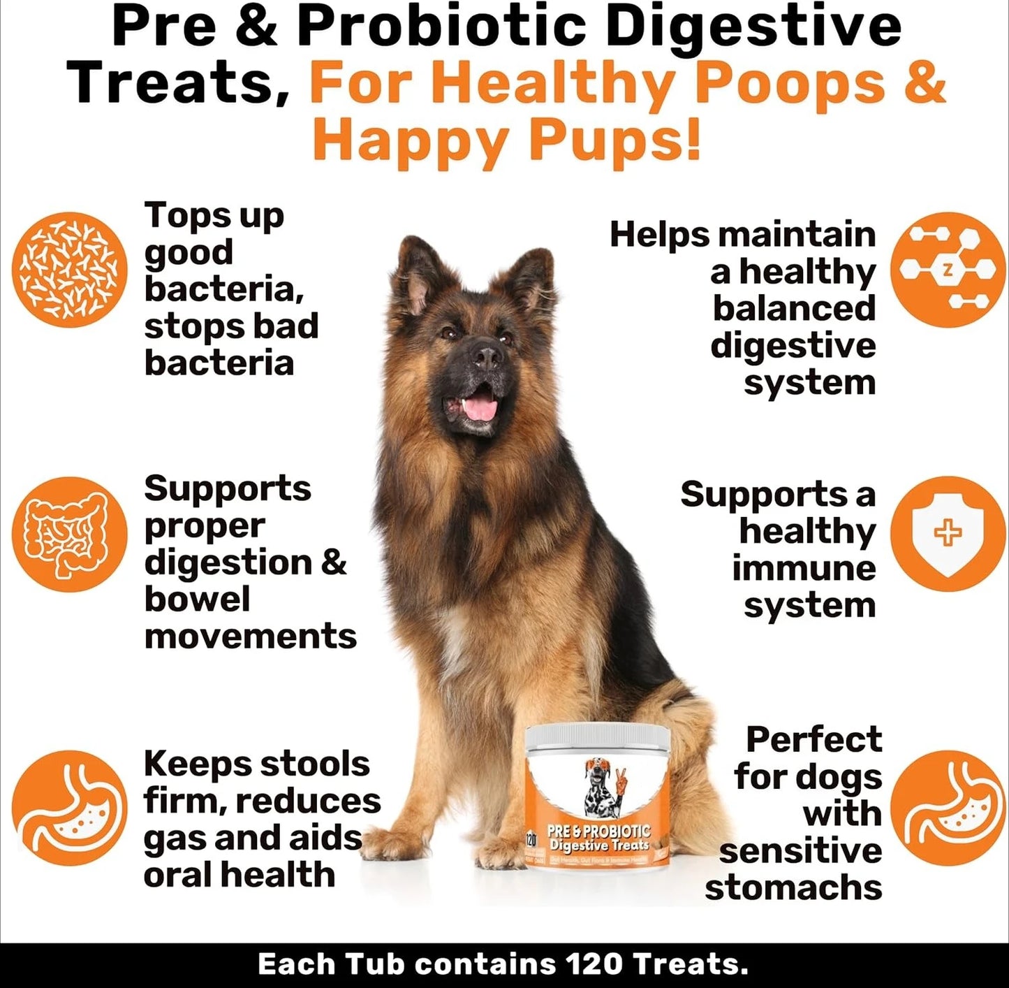 Dog Digestive Support Chews with Probiotics & Postbiotics, Soft Chews for Daily Gut Health, 120 Count