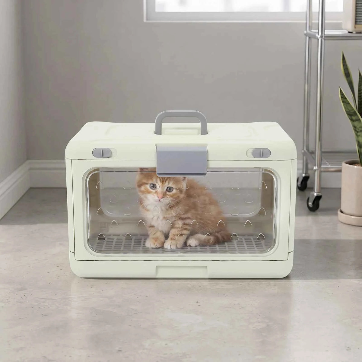 Light Green Foldable Pet Carrier, Hard PP & Iron Travel Cage for Cats and Small Dogs, 44 lb Capacity