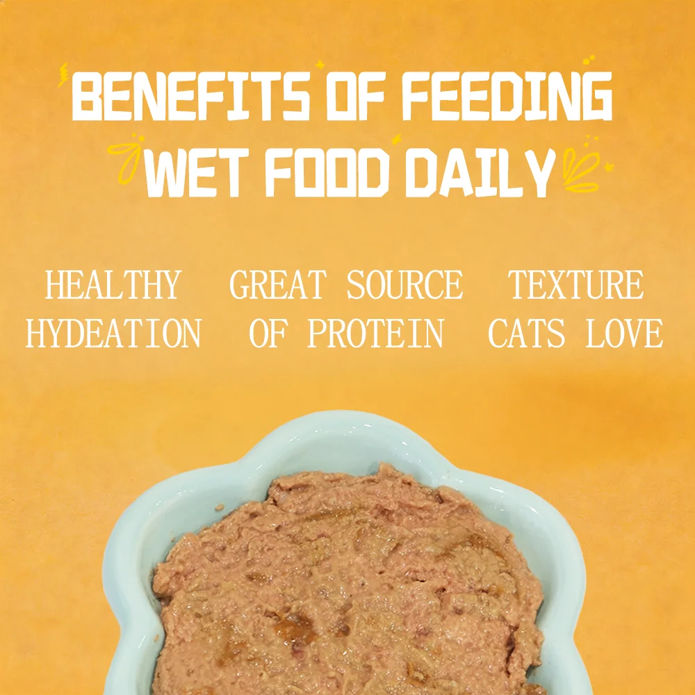 Petfull Wet Pet Food Variety Pack, Tuna, Beef, Salmon & Chicken Recipes, 170g Cans, Pack of 24