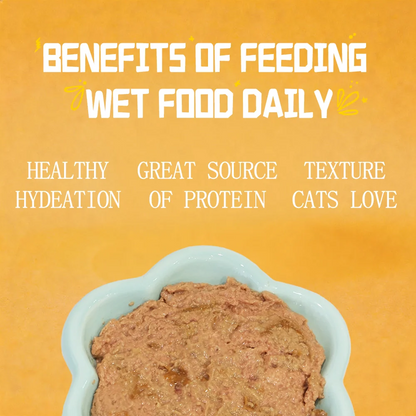 Petfull Wet Pet Food Variety Pack, Tuna, Beef, Salmon & Chicken Recipes, 170g Cans, Pack of 24