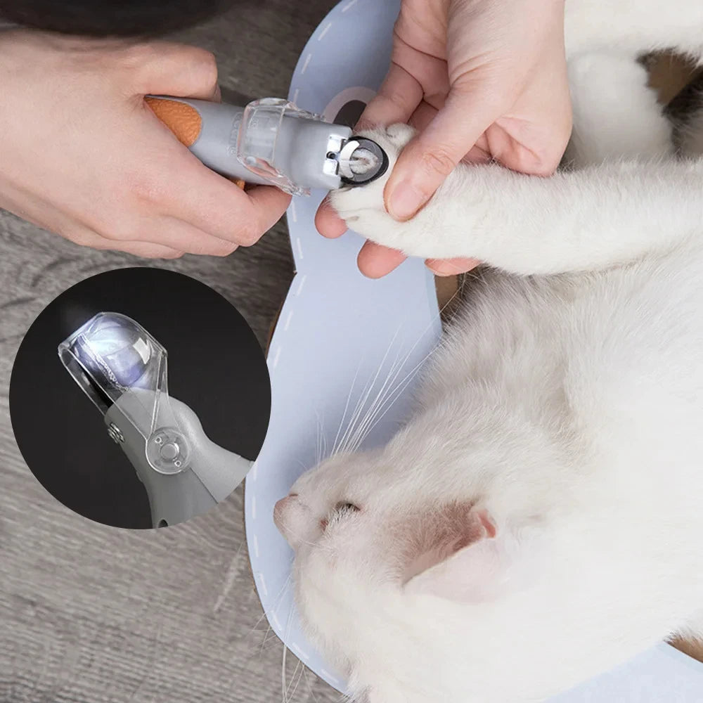 Professional Pet Nail Scissors with LED Light for Safe Dog and Cat Grooming