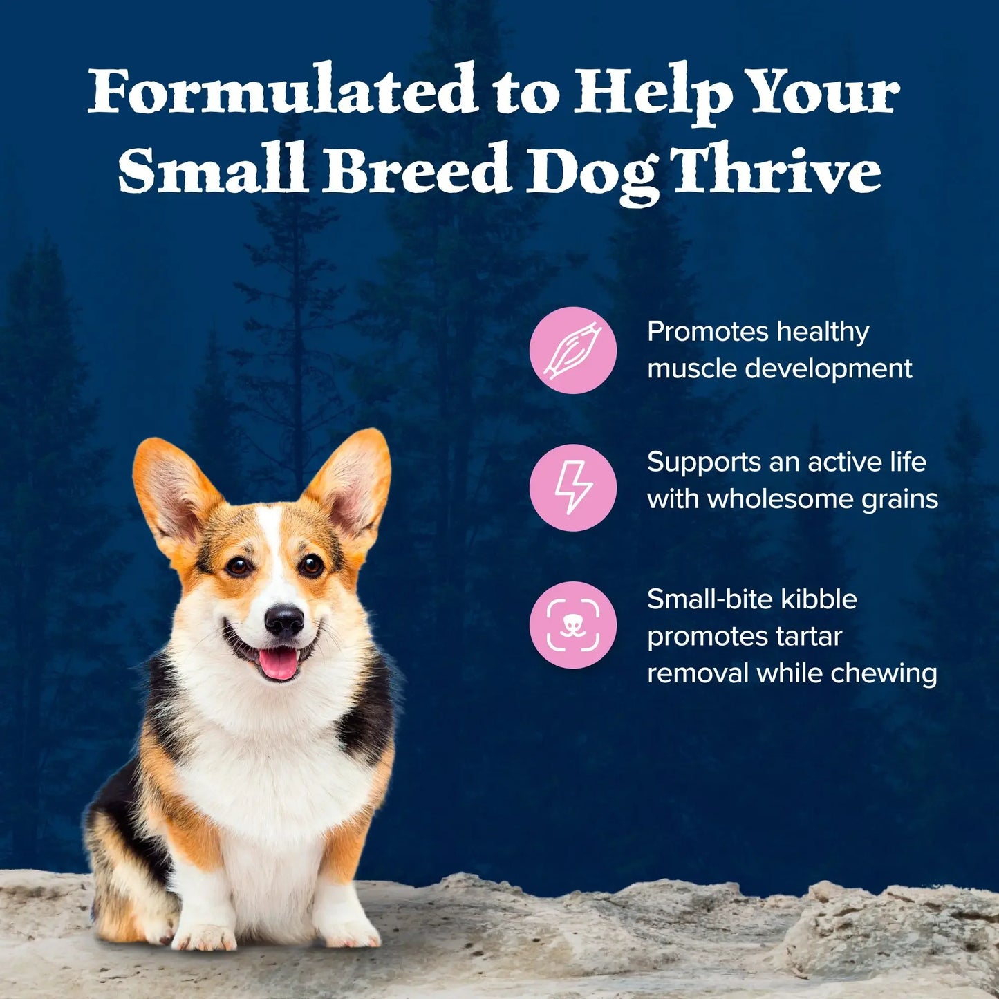 Wilderness Small Breed Dry Dog Food with Real Chicken & Wholesome Grains, Complete & Balanced Nutrition, 4.5 lb Bag