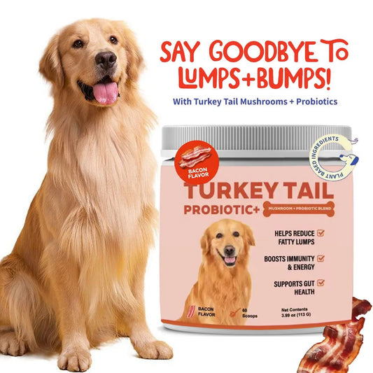 Turkey Tail Mushroom for Dogs, Immune Support Supplement for Lumps & Bumps, Daily Pet Wellness - Bond Well Supplies