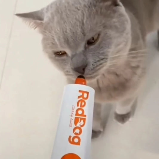 REDDOG Pet Nutritional Gel for Kittens, Young Cats & Dogs, Comprehensive Daily Nutrition Supplement - Bond Well Supplies