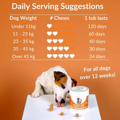 Dog Digestive Support Chews with Probiotics & Postbiotics, Soft Chews for Daily Gut Health, 120 Count