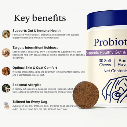 Probiotic Chews for Dogs, Beef Flavor, Gut Health, Digestive & Seasonal Wellness Support - Bond Well Supplies
