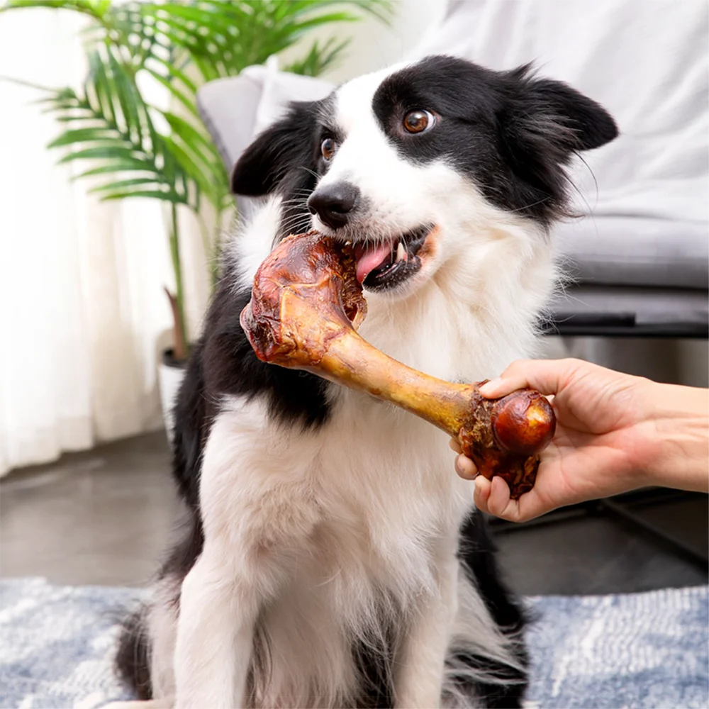 Natural Cow Bone Treat for Dogs, Protein-Rich Chew with Simple Ingredients