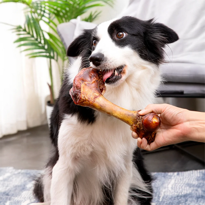 Natural Cow Bone Treat for Dogs, Protein-Rich Chew with Simple Ingredients
