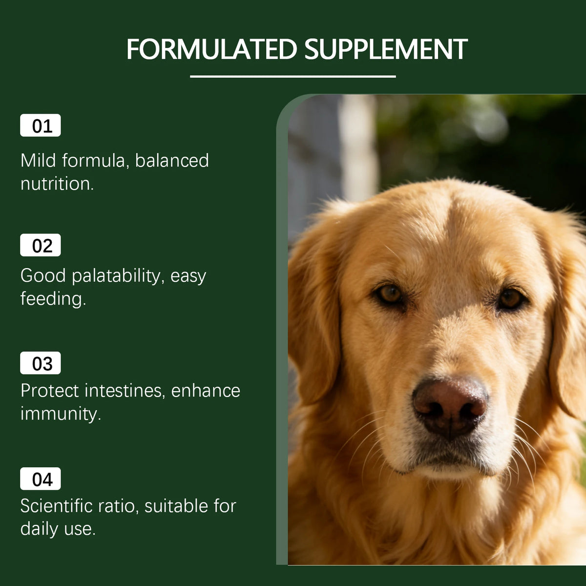 Dog Nutrition Powder, Digestive & Gut Health Support Supplement for Daily Wellness - Bond Well Supplies