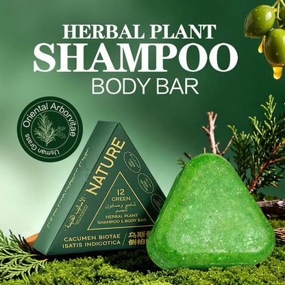 LKIAE Anti-Hair Loss Soap, Natural Arborvitae Leaves & Usman Grass Herbal Scalp Cleansing Formula - Bond Well Supplies