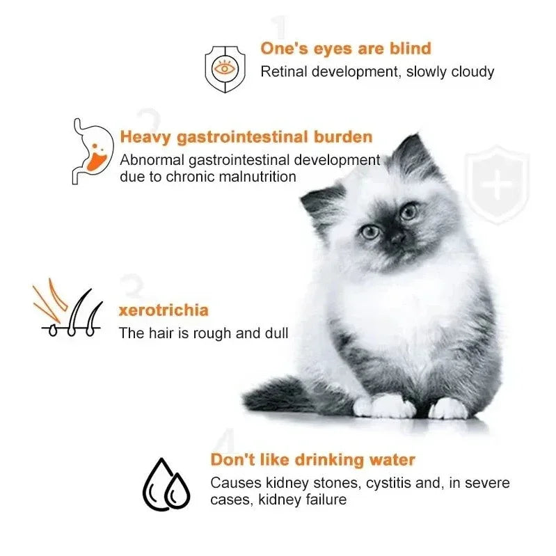 Cat Wet Food Treats, 15g x 10 Assorted Liquid Snacks in Chicken, Salmon & Cod Flavors - Bond Well Supplies