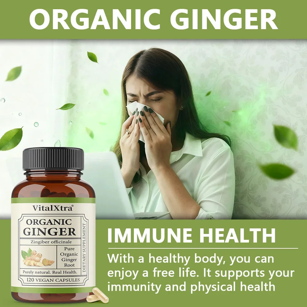 Organic Ginger Root Capsules, 950mg, Digestive Support Supplement, 120 Vegan Capsules