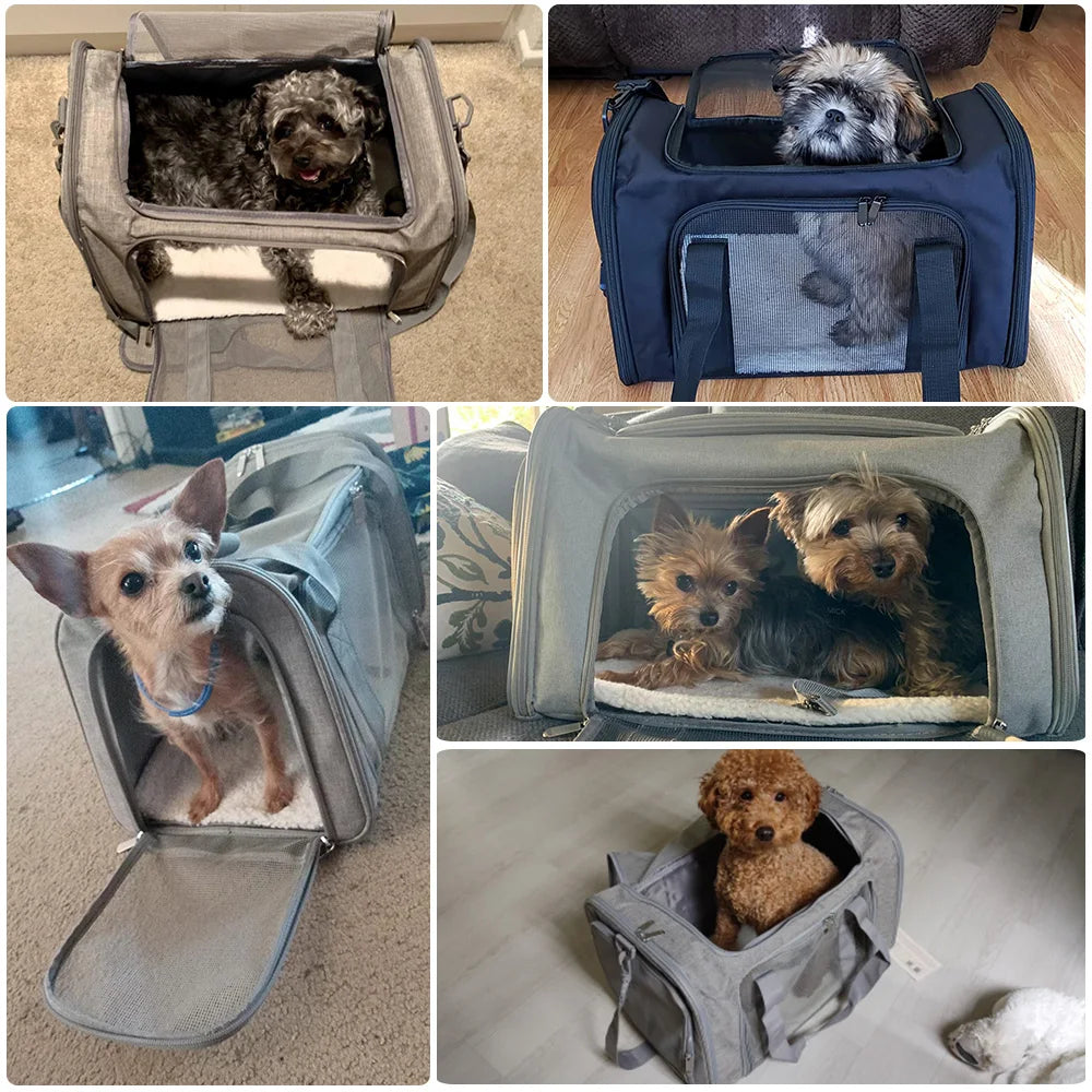 Soft-Sided Pet Carrier Backpack, Airline-Approved Travel Bag for Small Dogs and Cats