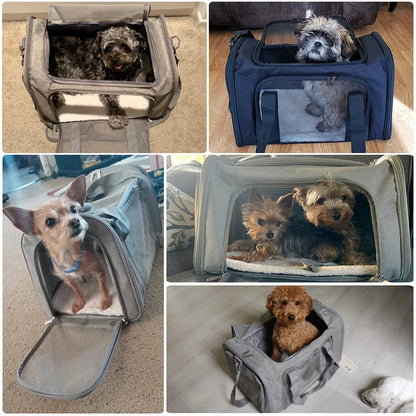 Soft-Sided Pet Carrier Backpack, Airline-Approved Travel Bag for Small Dogs and Cats
