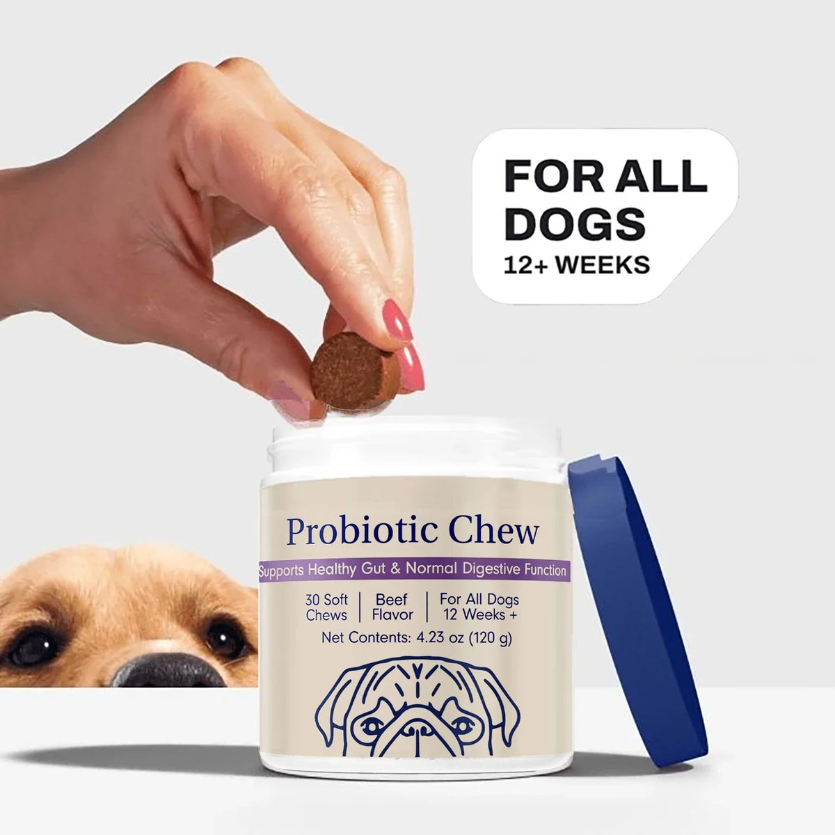 Probiotic Chews for Dogs, Beef Flavor, Gut Health, Digestive & Seasonal Wellness Support - Bond Well Supplies