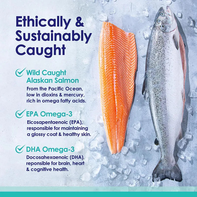 Omega-3 Fish Oil for Dogs, Icelandic Wild-Caught Formula for Healthy Skin, Coat & Shedding Support - Bond Well Supplies