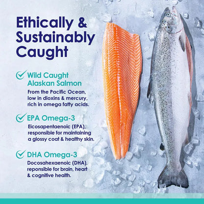 Omega-3 Fish Oil for Dogs, Icelandic Wild-Caught Formula for Healthy Skin, Coat & Shedding Support - Bond Well Supplies