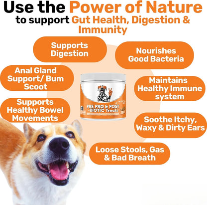 Dog Digestive Support Chews with Probiotics & Postbiotics, Soft Chews for Daily Gut Health, 120 Count