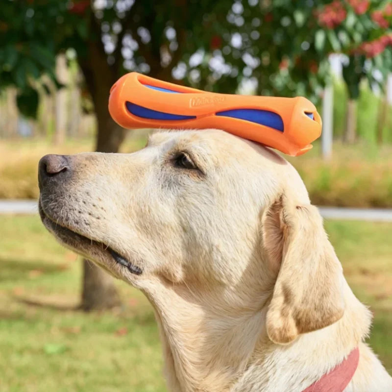 Floating Dog Chew and Retrieval Toy, TPR Fetch Stick for Pool and Outdoor Play