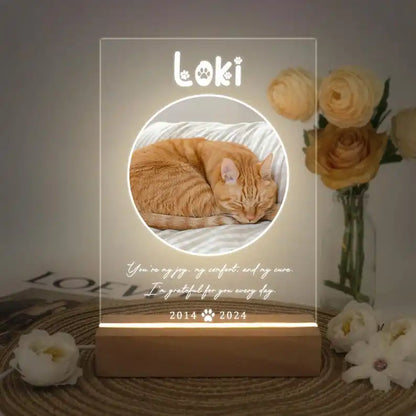 Custom Pet Photo Night Light, Personalized Acrylic Plaque for Dog and Cat Memorial Gifts