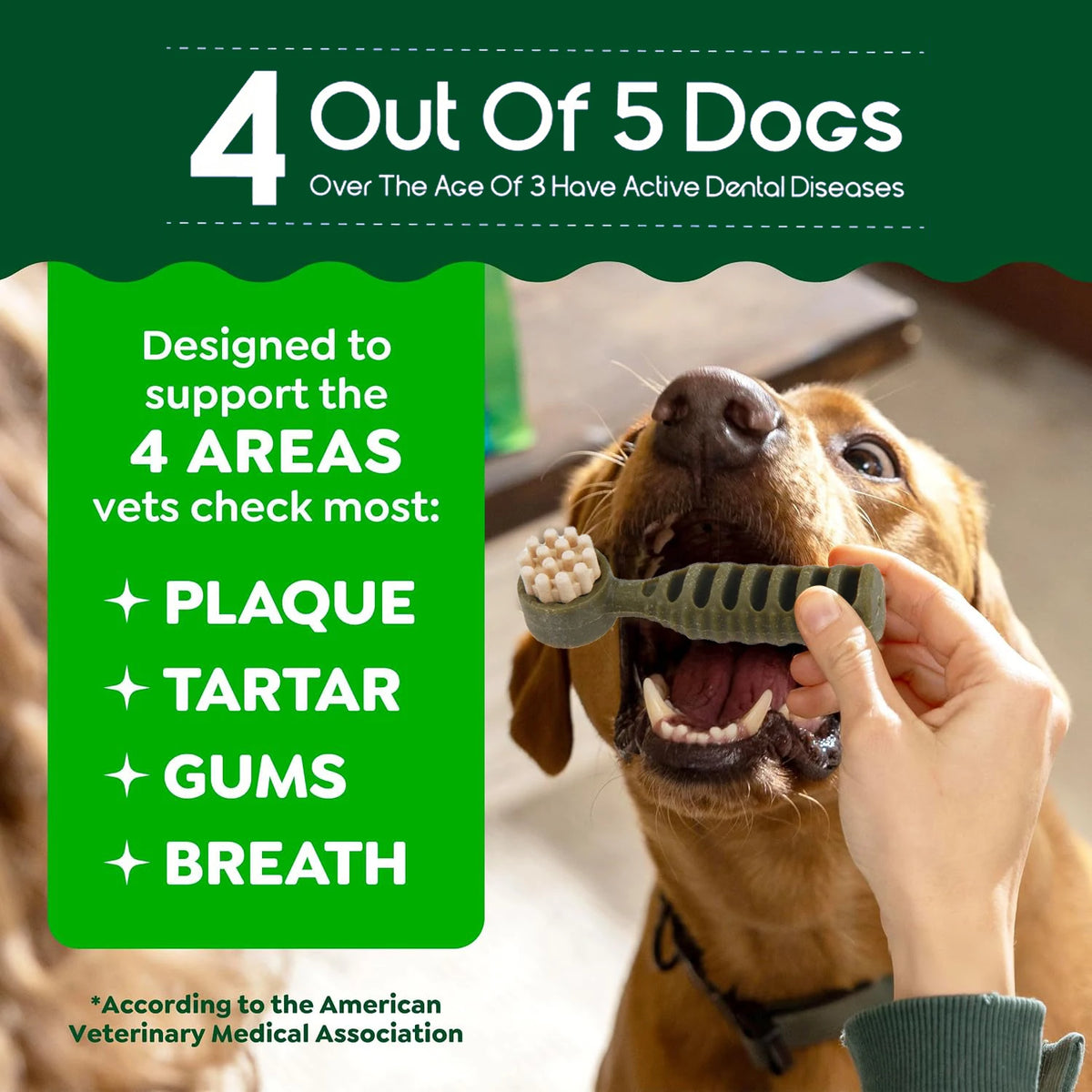 Dental Chews for Small Dogs, Mint & Tea Flavored Treats for Teeth Cleaning & Fresh Breath - Bond Well Supplies