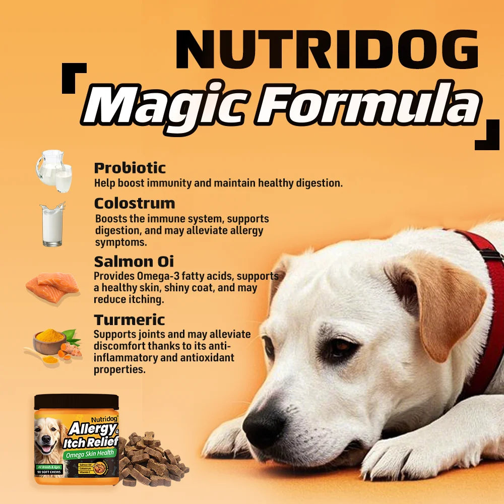 NUTRIDOG Dog Allergy & Itch Relief Chews, Skin and Immune Support Supplement, 90 Count