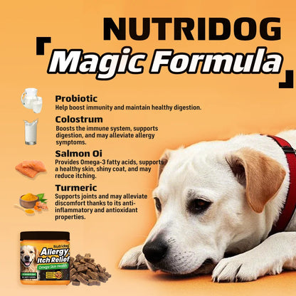 NUTRIDOG Dog Allergy & Itch Relief Chews, Skin and Immune Support Supplement, 90 Count