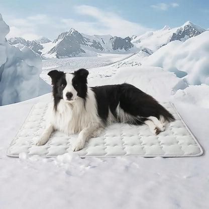 Summer Pet Cooling Mat for Dogs and Cats, Self-Cooling Pad with Breathable Fabric