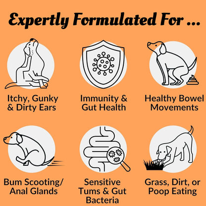 Dog Digestive Support Chews with Probiotics & Postbiotics, Soft Chews for Daily Gut Health, 120 Count