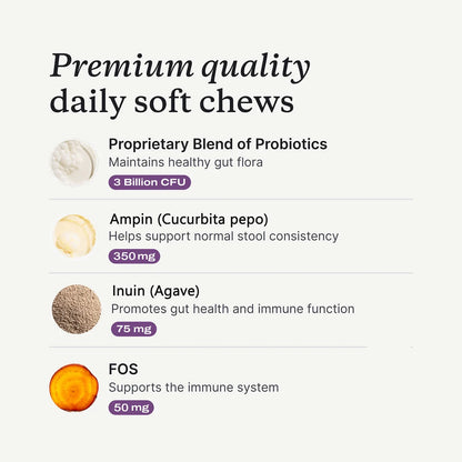 Probiotic Chews for Dogs, Beef Flavor, Gut Health, Digestive & Seasonal Wellness Support - Bond Well Supplies