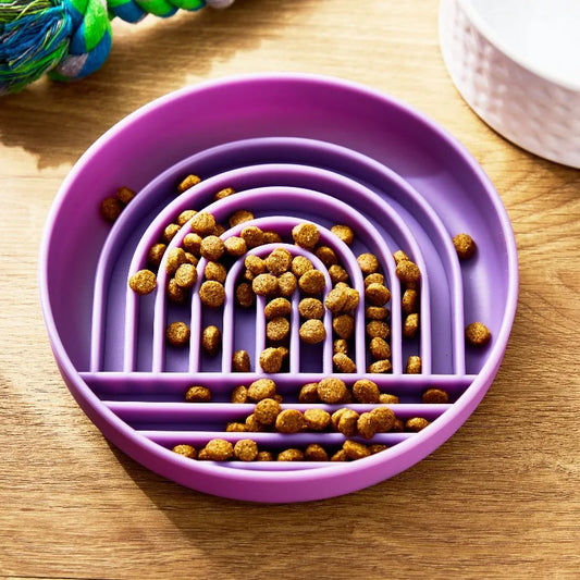 Slow Feeder Pet Bowl, Purple Rainbow Design for Dogs & Cats
