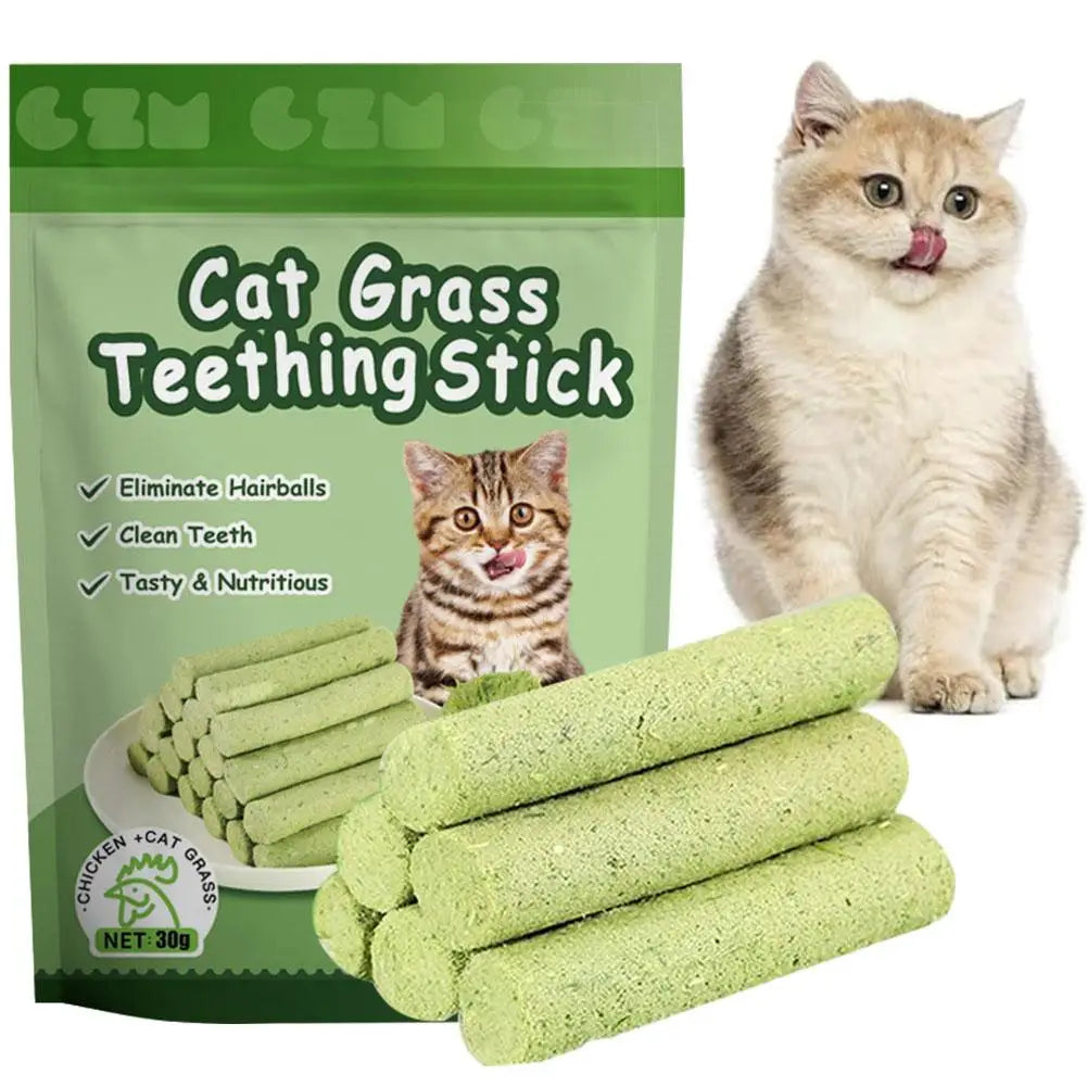 Cat Grass Dental Treat Sticks, Crunchy Cat Snacks for Chewing & Digestive Support - Bond Well Supplies