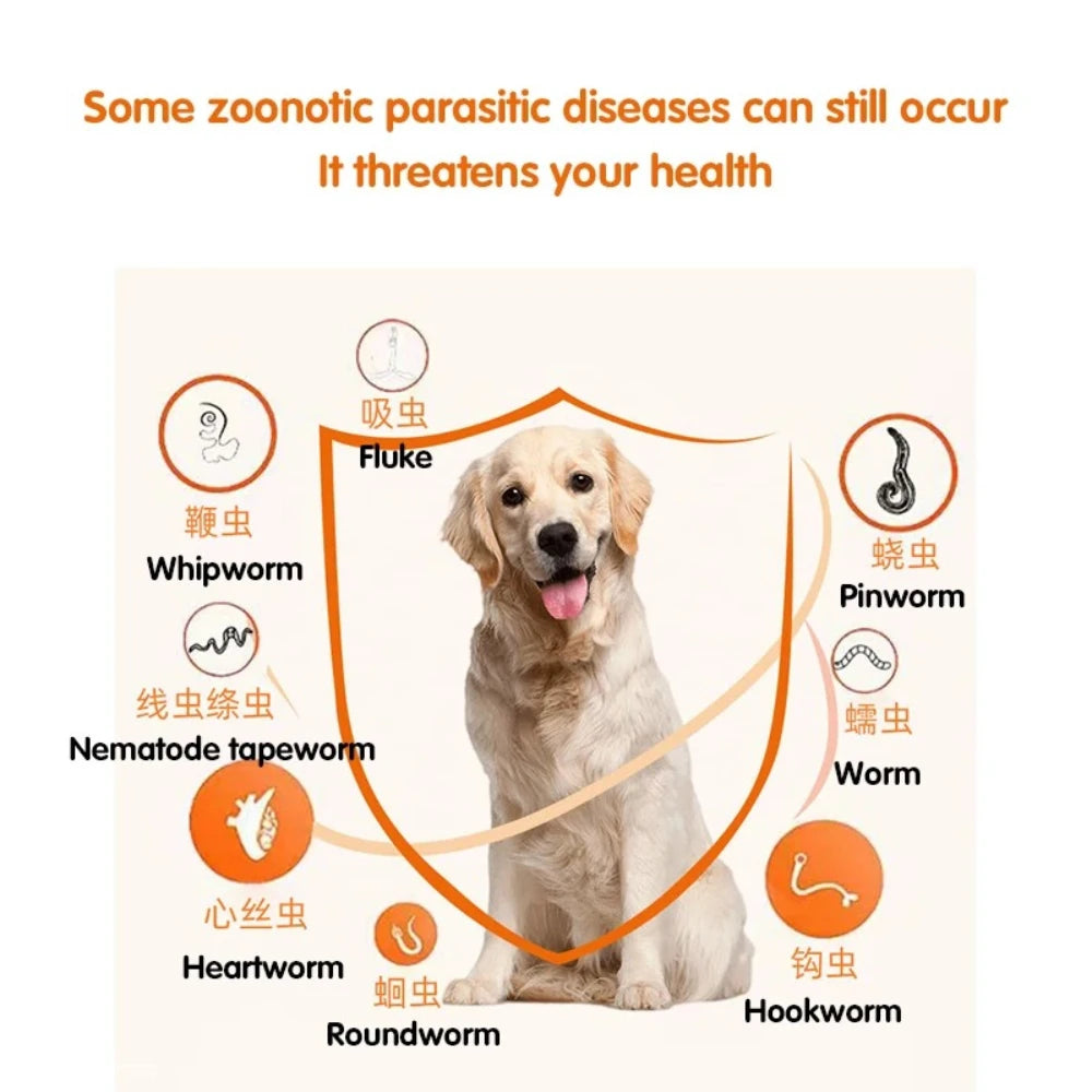 Dog & Cat Deworming Tablets, Pet Parasite Treatment for Common Intestinal Worms